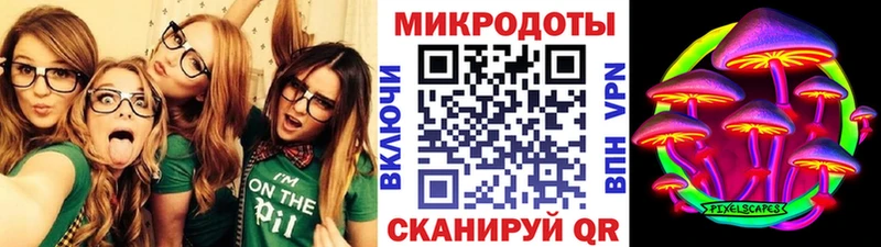хочу   Болотное  Псилоцибиновые грибы MAGIC MUSHROOMS 